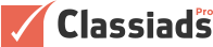 Best Classified WordPress Themes